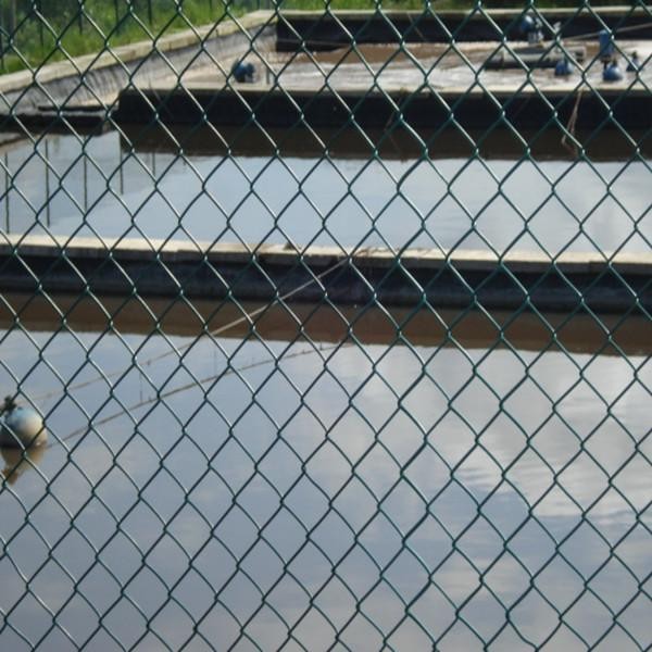 hakkında en son şirket haberleri Mesh Güvenlik Zinciri Bağlantı Çiti 0