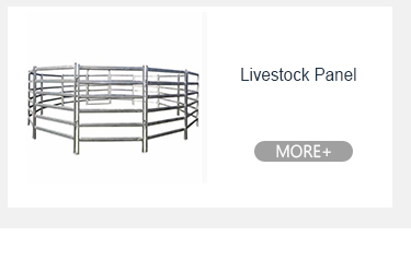 Geçici Yol Güvenliği Trafik İç Tüp Mesafesi 110mm 120mm 150mm ile Metal Yürüyüşçü Engelleri 9