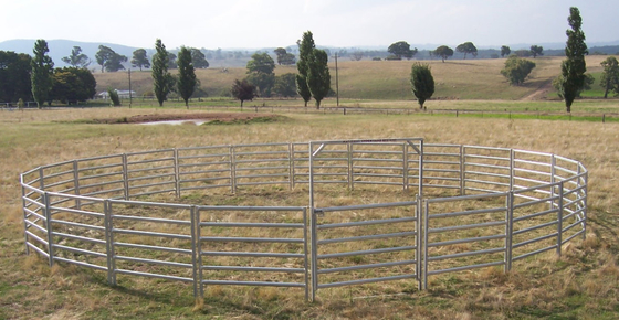 Dökme Karbon Çelik 1.7m Galvanizli Hayvancılık Çit Panelleri, Taşınabilir Keçi Panelleri