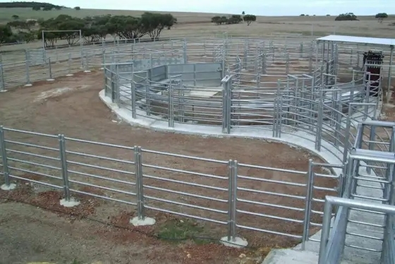 Yuvarlak Boru 6ft Metal Hayvancılık Çit Panelleri Ağır Hizmet Galvanizli Corral