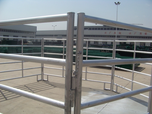 Hayvanlık Sığır 1.6m Metal Çiftlik Kapısı Galvanizli Çelik Boru Tasarımı
