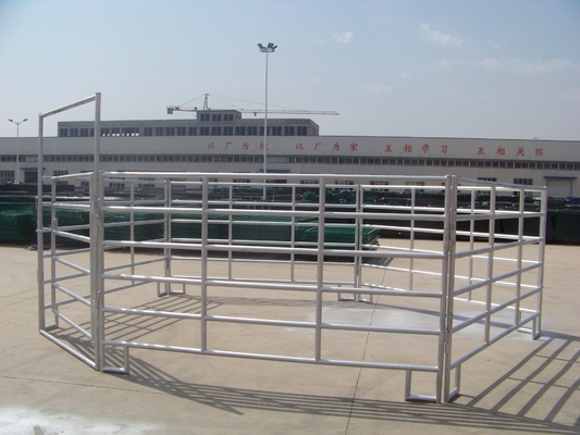 Hayvanlık Sığır 1.6m Metal Çiftlik Kapısı Galvanizli Çelik Boru Tasarımı