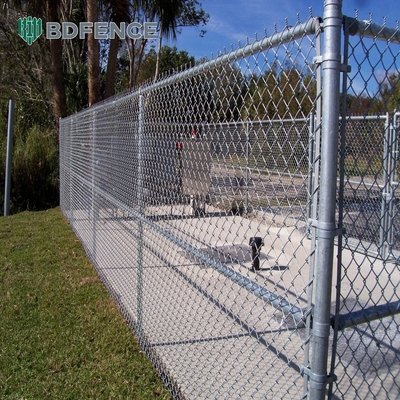 1 inç Galvanize Hook Mesh Ucuz Zincir Link Çit Çiftlik Çit