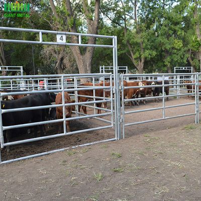 Sığırlar İçin Galvanizli Oval Boru Hayvan Eskrim Panelleri