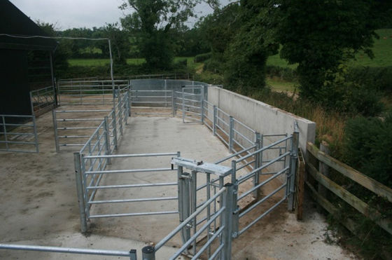 Hayvancılık Çiftliği için ISO 2.1m Uzunluk Sığır Çit Panelleri