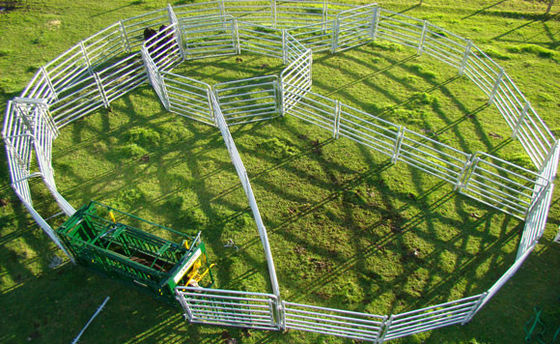 Hayvancılık Çiftliği için ISO 2.1m Uzunluk Sığır Çit Panelleri