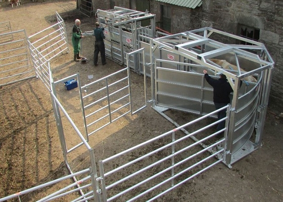 Ağır Hizmet Tipi 1.6m Yükseklik Hayvancılık Çit Panelleri Metal Galvanizli Çiftlik Kapıları